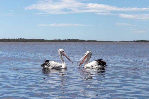 Amazing Ansons Bay Remote Paradise For The Family In The Bay Of Fires Area - Getaway Accommodation 2