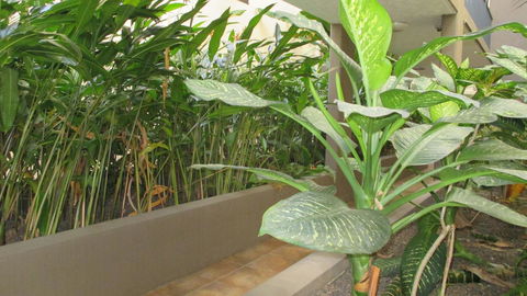 Edge Apartments Cairns - Getaway Accommodation 39