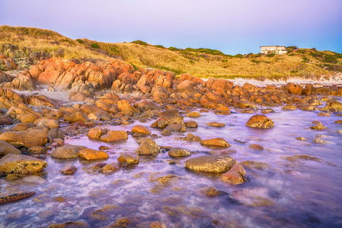 Porky Beach Retreat - King Island Escapes - Getaway Accommodation 9