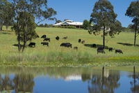Book Nabiac Accommodation Vacations Getaway Accommodation Getaway Accommodation