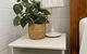 Beautiful Guesthouse In Monbulk - thumb 4