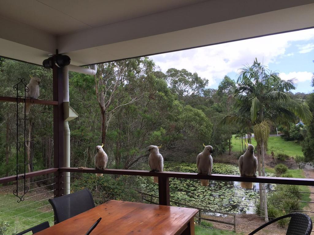 Upper Coomera QLD Getaway Accommodation