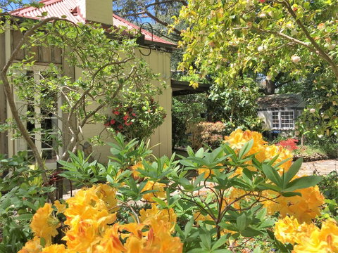 Adelaide Hills 'Camellia Cottage' - WiFi - Getaway Accommodation 1