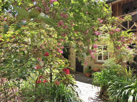 Adelaide Hills 'Camellia Cottage' - WiFi - Getaway Accommodation 2