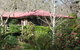 Adelaide Hills B&B Accommodation - thumb 2