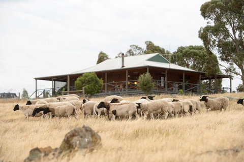 Gilgraves Vineyard Farmstay - Getaway Accommodation 0