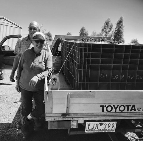 Gilgraves Vineyard Farmstay - Getaway Accommodation 4