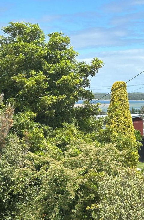 Iconic Beach House On Bruce - Getaway Accommodation 1