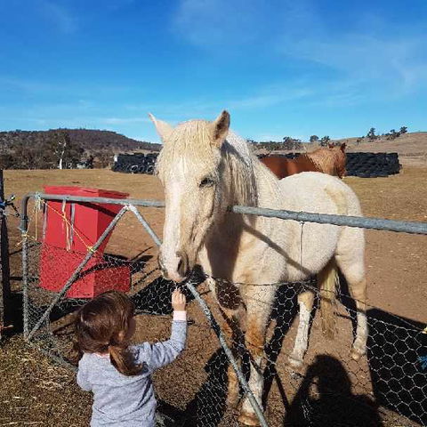 Alpine Country Motel - Getaway Accommodation 3