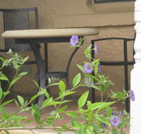 Amalie Cottage Waikerie - Getaway Accommodation