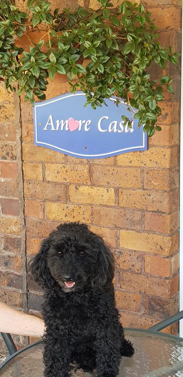 Amore Casa Tenterfield - Getaway Accommodation 2