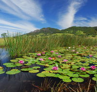 Barrington Hideaway- River Cottages - Getaway Accommodation