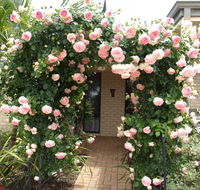 Baudins of Busselton Bed and Breakfast - Getaway Accommodation