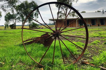 Ruby Rose with Getaway Accommodation