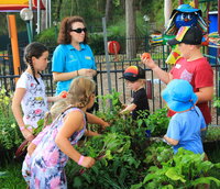 Book Lemon Tree Passage Accommodation Vacations Getaway Accommodation Getaway Accommodation