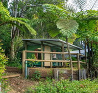 Binna Burra Rainforest Campsite - Getaway Accommodation