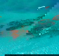 Private Tangalooma Wrecks Tour - Getaway Accommodation