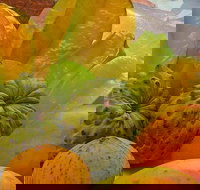 Private Half Day Tour Exclusive World Heritage Rainforest and Waterfall Tour from Cairns - Getaway Accommodation