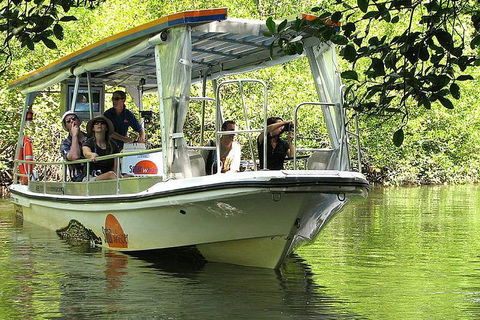 5-Day Best Of Cairns With Daintree, Kuranda, And Great Barrier Reef - Getaway Accommodation 1