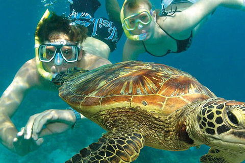 8-Day Cairns Tour: Great Barrier Reef, Kuranda, Daintree Rainforest - Getaway Accommodation 1