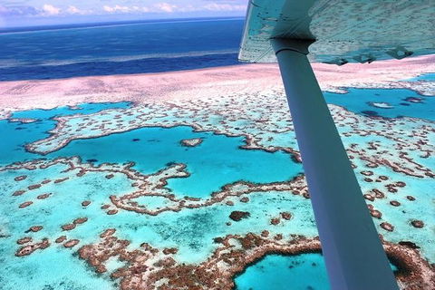 8-Day Cairns Tour: Great Barrier Reef, Kuranda, Daintree Rainforest - Getaway Accommodation 2