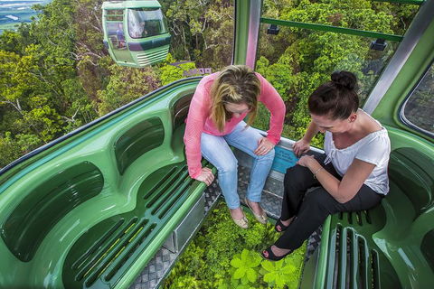 8-Day Cairns Tour: Great Barrier Reef, Kuranda, Daintree Rainforest - Getaway Accommodation 3