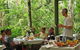 8-Day Cairns Tour: Great Barrier Reef, Kuranda, Daintree Rainforest - thumb 4
