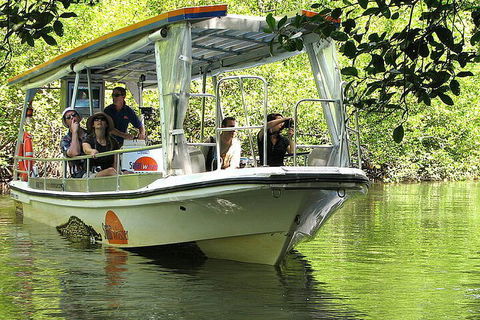 8-Day Cairns Tour: Great Barrier Reef, Kuranda, Daintree Rainforest - Getaway Accommodation 5