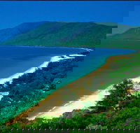 Cairns Reef and Rainforest Combo Daintree Rainforest and the Great Barrier Reef - Getaway Accommodation
