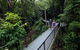 4-Day Cairns With Great Barrier Reef And Daintree Rainforest - thumb 1
