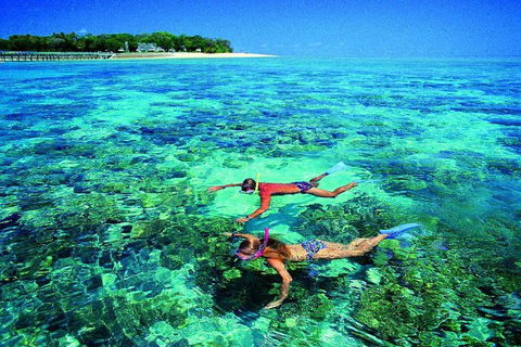 4-Day Cairns With Great Barrier Reef And Daintree Rainforest - Getaway Accommodation 2