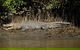 4-Day Cairns With Great Barrier Reef And Daintree Rainforest - thumb 4