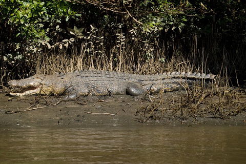 4-Day Cairns With Great Barrier Reef And Daintree Rainforest - Getaway Accommodation 4