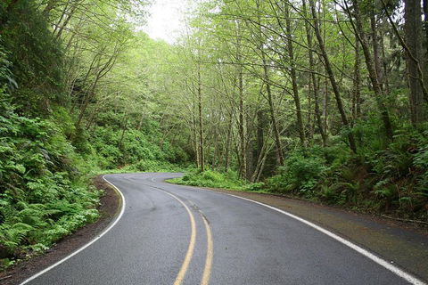 Cruise Ship Shore Excursion - Private Great Ocean Road Full Day Tour (12 Hour) - Getaway Accommodation 3