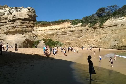Great Ocean Road Full Day Private Experience - Getaway Accommodation 3