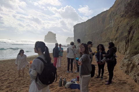 Great Ocean Road Full Day Private Experience - Getaway Accommodation 4