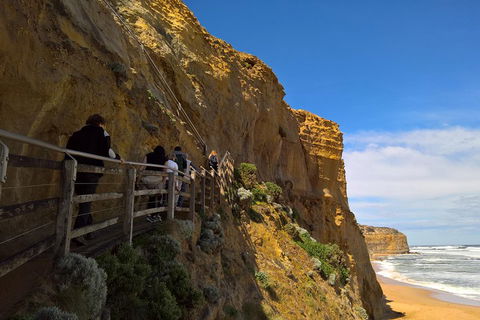 Private Express Experience - 12 Apostles - Getaway Accommodation 3