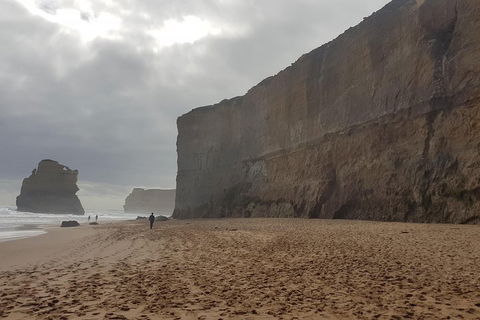 Private Express Experience - 12 Apostles - Getaway Accommodation 4