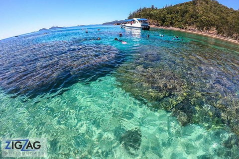 Whitehaven Beach Day Tour With Snorkel In Whitsundays Island - Getaway Accommodation 5