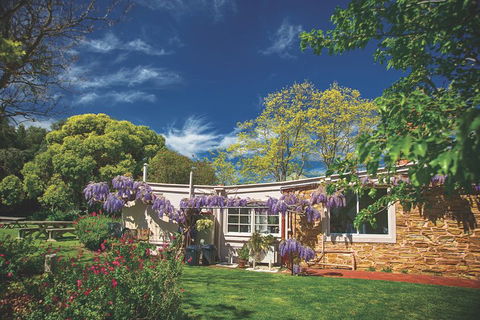McLaren Vale Winery Small Group Tour With Wine Tasting And Lunch - Getaway Accommodation 2