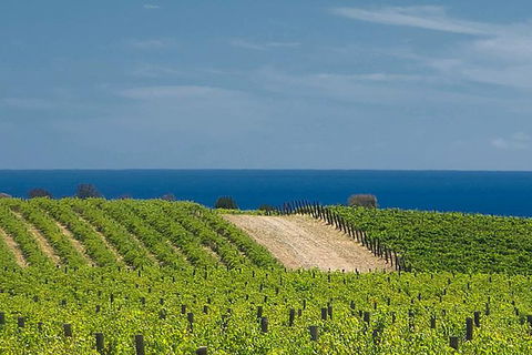 McLaren Vale Winery Small Group Tour With Wine Tasting And Lunch - Getaway Accommodation 4