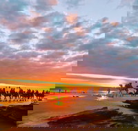 1 Hour Broome Sunset Camel Tour - Getaway Accommodation