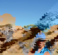 Broome Pre-sunset Camel Tour 30 minutes - Getaway Accommodation