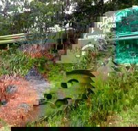 Port Arthur Richmond and Tasman Peninsula Day Trip from Hobart - Getaway Accommodation