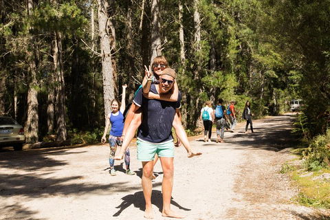 7-Day Best Of Tasmania Adventure Experience From Hobart (flexible Ticket) - Getaway Accommodation 5