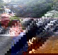 Private Blue Mountains Day Tour including Wildlife Park - Getaway Accommodation