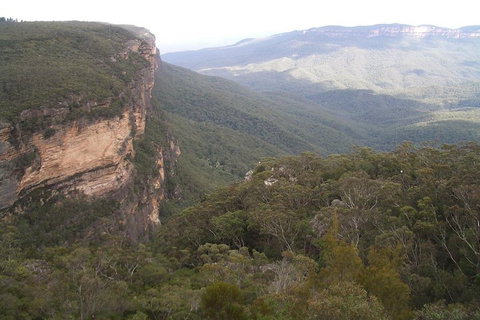 Full-Day Private Blue Mountains Tour With River Cruise - Getaway Accommodation 3