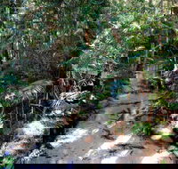 Fraser Island 4WD Tour from Rainbow Beach - Getaway Accommodation