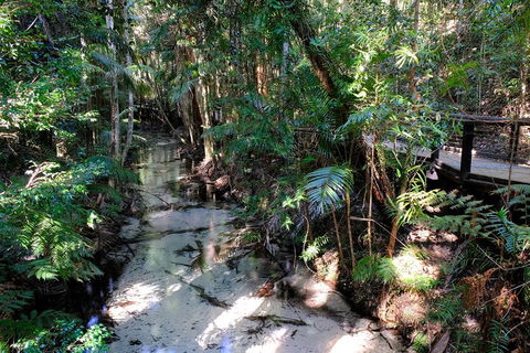 Fraser Island 4WD Tour From Rainbow Beach - Getaway Accommodation 0