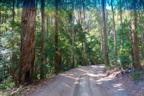 Fraser Island 4WD Tour From Rainbow Beach - Getaway Accommodation 4
